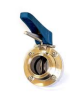 Valvula Mariposa Inox Clamp De 2 Maneral Plastico