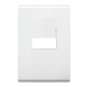PLACA CON CHASIS DE RESINA 1 MOD COLOR BLANCO BTICINO             