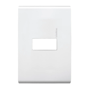 PLACA CON CHASIS DE RESINA 1 MOD COLOR BLANCO BTICINO             